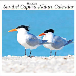 2023FrontCover600x600S.jpg